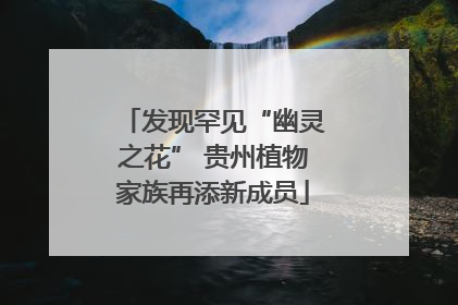 发现罕见“幽灵之花” 贵州植物家族再添新成员