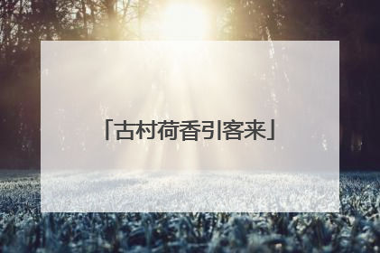古村荷香引客来