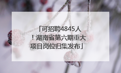 可招聘4845人！湖南省第六期重大项目岗位归集发布