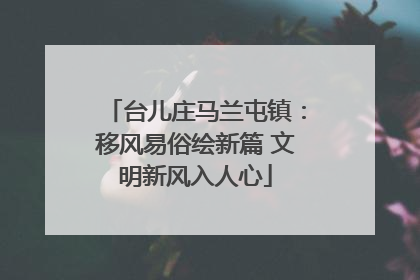 台儿庄马兰屯镇：移风易俗绘新篇 文明新风入人心