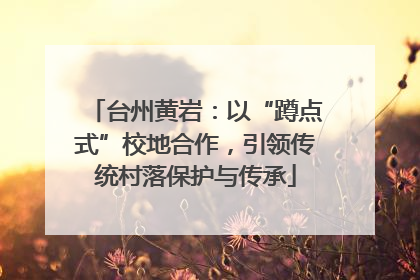 台州黄岩：以“蹲点式”校地合作，引领传统村落保护与传承