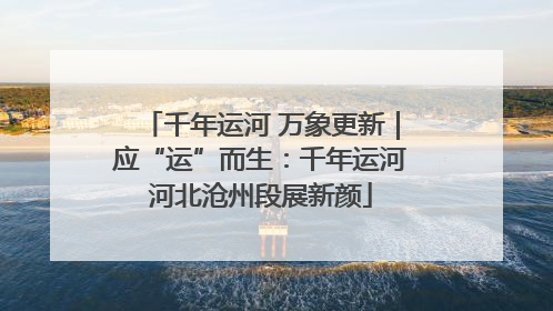 千年运河 万象更新｜应“运”而生：千年运河河北沧州段展新颜