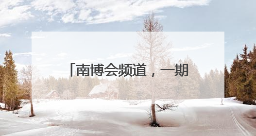 南博会频道，一期一会 明年再见！