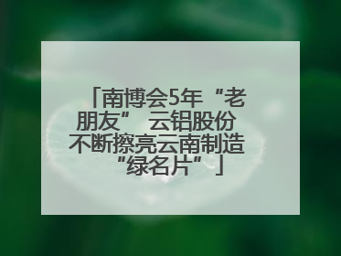 南博会5年“老朋友” 云铝股份不断擦亮云南制造“绿名片”