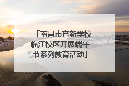 南昌市育新学校临江校区开展端午节系列教育活动
