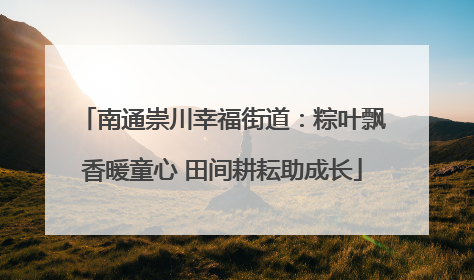 南通崇川幸福街道：粽叶飘香暖童心 田间耕耘助成长