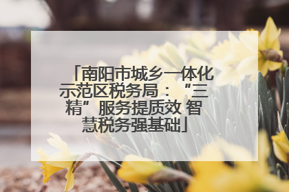 南阳市城乡一体化示范区税务局：“三精”服务提质效 智慧税务强基础