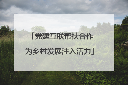 党建互联帮扶合作 为乡村发展注入活力