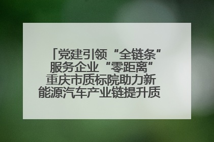 党建引领“全链条” 服务企业“零距离” 重庆市质标院助力新能源汽车产业链提升质量管理水平