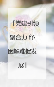 党建引领聚合力 纾困解难促发展