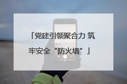党建引领聚合力 筑牢安全“防火墙”