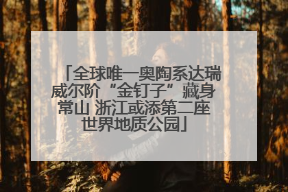 全球唯一奥陶系达瑞威尔阶“金钉子”藏身常山 浙江或添第二座世界地质公园