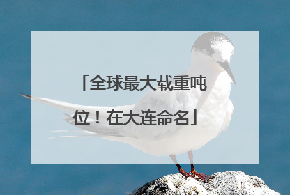 全球最大载重吨位！在大连命名