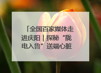 全国百家媒体走进庆阳｜探秘“陇电入鲁”送端心脏 庆阳驭风沐光点亮齐鲁万家