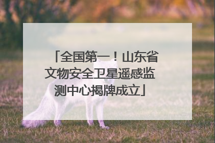 全国第一！山东省文物安全卫星遥感监测中心揭牌成立