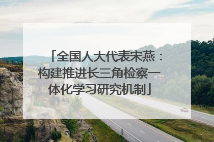 全国人大代表宋燕：构建推进长三角检察一体化学习研究机制