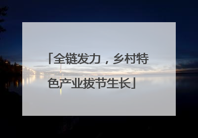 全链发力，乡村特色产业拔节生长