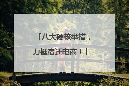 八大硬核举措，力挺宿迁电商！