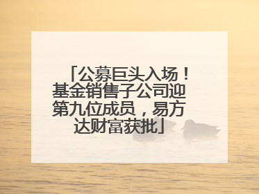 公募巨头入场！基金销售子公司迎第九位成员，易方达财富获批