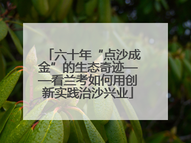 六十年“点沙成金”的生态奇迹——看兰考如何用创新实践治沙兴业
