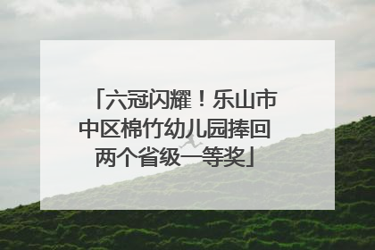 六冠闪耀！乐山市中区棉竹幼儿园捧回两个省级一等奖