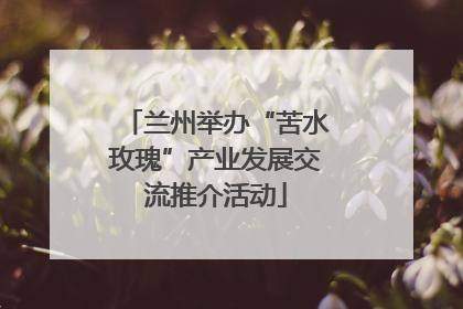 兰州举办“苦水玫瑰”产业发展交流推介活动