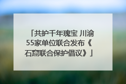 共护千年瑰宝 川渝55家单位联合发布《石窟联合保护倡议》
