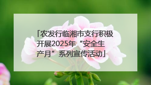 农发行临湘市支行积极开展2025年“安全生产月”系列宣传活动