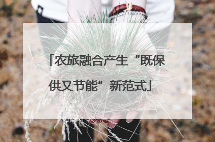 农旅融合产生“既保供又节能”新范式