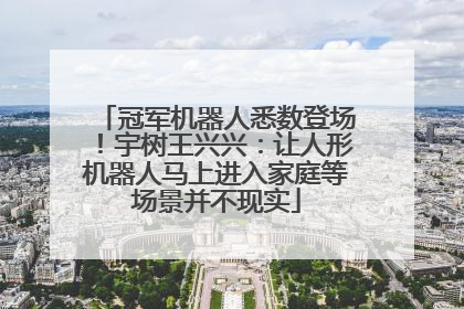 冠军机器人悉数登场！宇树王兴兴：让人形机器人马上进入家庭等场景并不现实