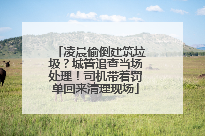 凌晨偷倒建筑垃圾？城管追查当场处理！司机带着罚单回来清理现场