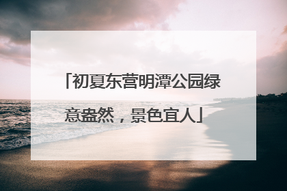 初夏东营明潭公园绿意盎然，景色宜人