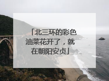 北三环的彩色油菜花开了，就在朝阳安贞