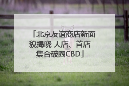 北京友谊商店新面貌揭晓 大店、首店集合破圈CBD