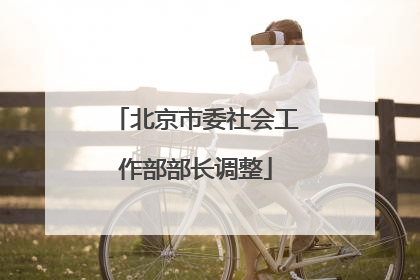 北京市委社会工作部部长调整