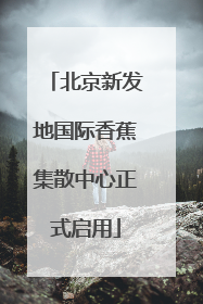 北京新发地国际香蕉集散中心正式启用