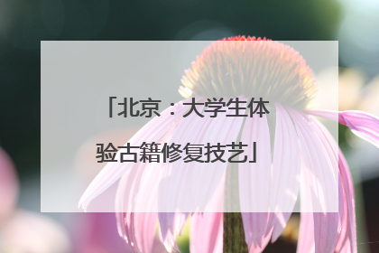北京：大学生体验古籍修复技艺