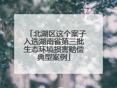 北湖区这个案子入选湖南省第三批生态环境损害赔偿典型案例