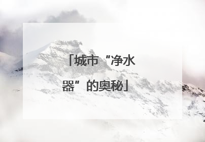 城市“净水器”的奥秘