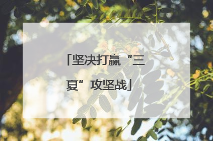 坚决打赢“三夏”攻坚战