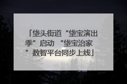 垡头街道“垡宝演出季”启动 “垡宝治家”数智平台同步上线