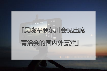 吴晓军罗东川会见出席青洽会的国内外嘉宾