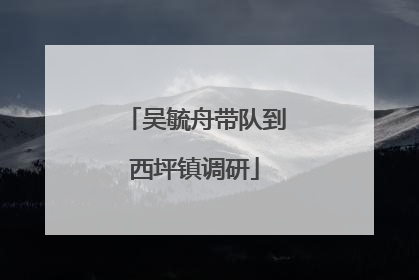 吴毓舟带队到西坪镇调研