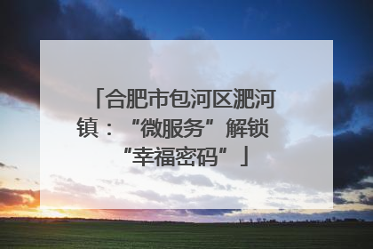 合肥市包河区淝河镇：“微服务”解锁“幸福密码”