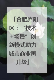 合肥庐阳区：“技术+场景”创新模式助力城市商业再升级