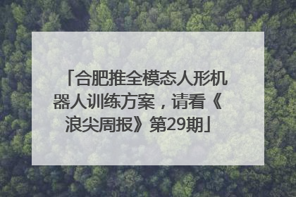 合肥推全模态人形机器人训练方案，请看《浪尖周报》第29期