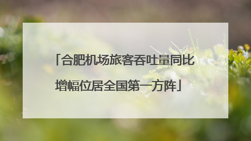 合肥机场旅客吞吐量同比增幅位居全国第一方阵
