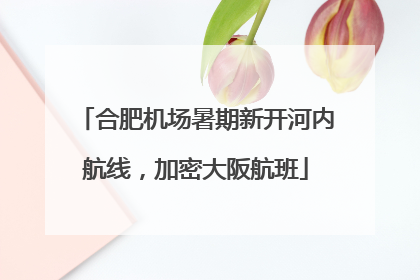 合肥机场暑期新开河内航线，加密大阪航班