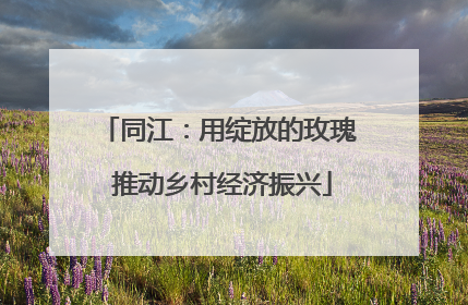 同江：用绽放的玫瑰 推动乡村经济振兴