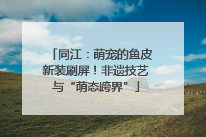 同江：萌宠的鱼皮新装刷屏！非遗技艺与“萌态跨界”